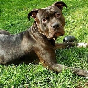 Meet your Posher, Dave